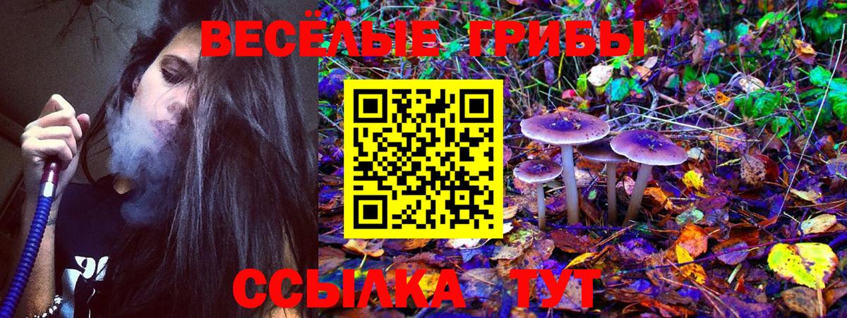 Галлюциногенные грибы Psilocybine cubensis Серпухов