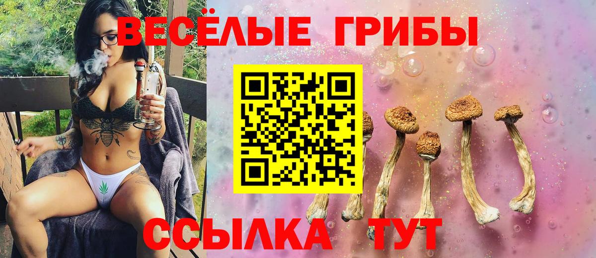 Галлюциногенные грибы MAGIC MUSHROOMS  Вход с VPN  Серпухов 